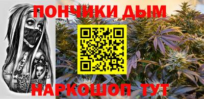гидропоника Гусиноозёрск