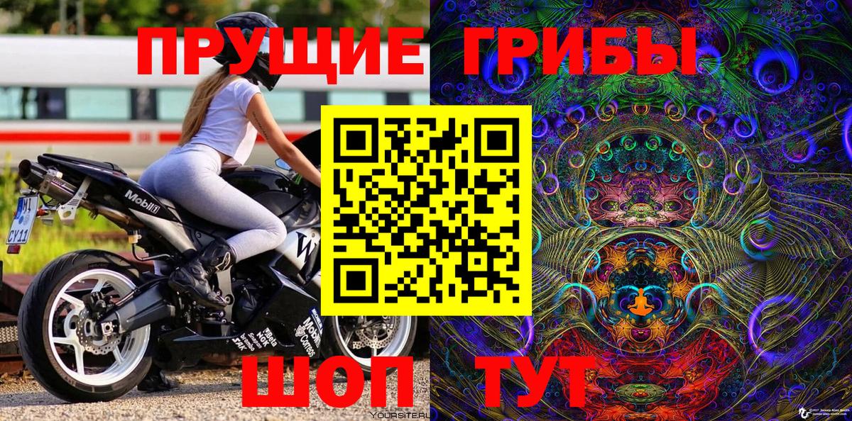 Галлюциногенные грибы Psilocybe  Вход с VPN  Борзя  Галлюциногенные грибы Magic Shrooms 